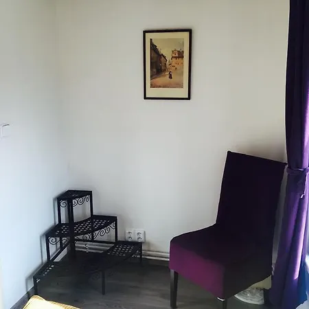 Apartmán Royal Mustek Praha