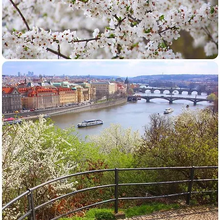 Apartmán Royal Mustek Praha